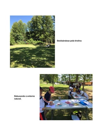 Deslizándose pola tirolina
Debuxando o entorno
natural.
 