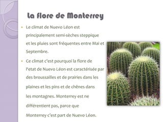 La flore de Monterrey
   Le climat de Nuevo Léon est
    principalement semi-sèches steppique
    et les pluies sont fréquentes entre Mai et
    Septembre.

   Ce climat c'est pourquoi la flore de
    l‘etat de Nuevo Léon est caractérisée par
    des broussailles et de prairies dans les

    plaines et les pins et de chênes dans

    les montagnes. Monterrey est ne

    différentient pas, parce que

    Monterrey c’est part de Nuevo Léon.
 