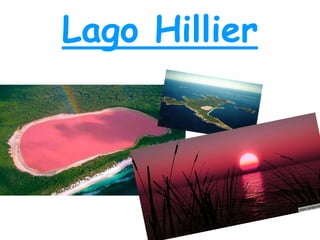 Lago Hillier
 