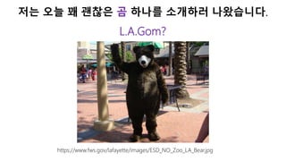 저는 오늘 꽤 괜찮은 곰 하나를 소개하러 나왔습니다.
L.A.Gom?
https://www.fws.gov/lafayette/images/ESD_NO_Zoo_LA_Bear.jpg
 