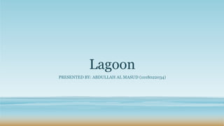 Lagoon
PRESENTED BY: ABDULLAH AL MASUD (1018022034)
 