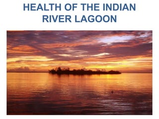 HEALTH OF THE INDIAN
RIVER LAGOON
 
