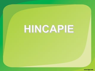 HINCAPIEHINCAPIE