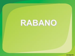 RABANORABANO