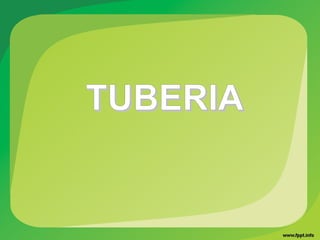 TUBERIATUBERIA