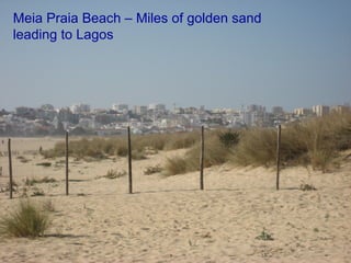 Meia Praia Beach – Miles of golden sand leading to Lagos 