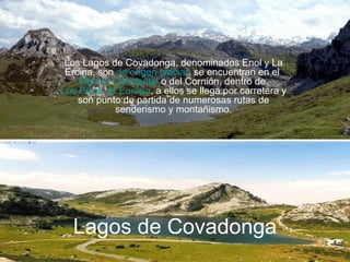 Lagos de Covadonga Los Lagos de Covadonga, denominados Enol y La Ercina, son  de origen glaciar , se encuentran en el  Macizo Occidental  o del Cornión, dentro de  Los Picos de Europa , a ellos se llega por carretera y son punto de partida de numerosas rutas de senderismo y montañismo. 