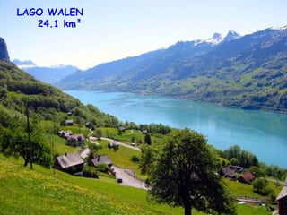 LAGO WALEN 24.1 km²   