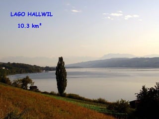 LAGO HALLWIL 10.3 km²   