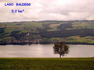 LAGO  BALDEGG 5.2 km²   