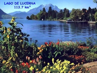 LAGO DE LUCERNA 113.7 km²  