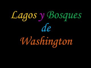 Lagos   y   Bosques de Washington 