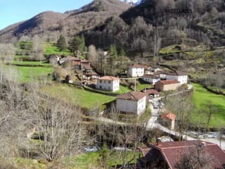 ARBELLALES
 