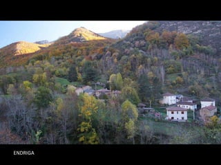 ENDRIGA
 