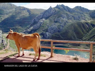 MIRADOR DEL LAGO DE LA CUEVA
 