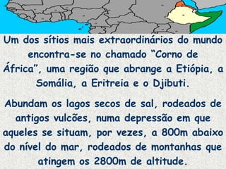 Um dos sítios mais extraordinários do mundo
     encontra-se no chamado “Corno de
África”, uma região que abrange a Etiópia, a
       Somália, a Eritreia e o Djibuti.

Abundam os lagos secos de sal, rodeados de
  antigos vulcões, numa depressão em que
aqueles se situam, por vezes, a 800m abaixo
do nível do mar, rodeados de montanhas que
       atingem os 2800m de altitude.
 