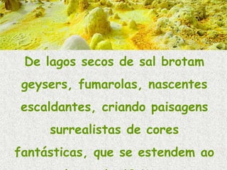 De lagos secos de sal brotam
 geysers, fumarolas, nascentes
escaldantes, criando paisagens
     surrealistas de cores
fantásticas, que se estendem ao
 