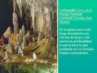 Lechuguilla Cave, en el Parque Nacional Carlsbad Caverns, New Mexico   Es la quinta cueva más larga descubierta con 193 km de largo y 489 metros de profundidad, lo que la hace la más profunda en Los Estados Unidos continentales.  