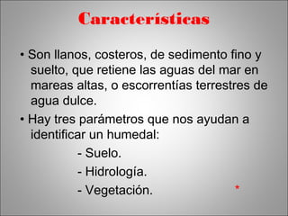 Características 
• Son llanos, costeros, de sedimento fino y 
suelto, que retiene las aguas del mar en 
mareas altas, o escorrentías terrestres de 
agua dulce. 
• Hay tres parámetros que nos ayudan a 
identificar un humedal: 
- Suelo. 
- Hidrología. 
- Vegetación. * 
 