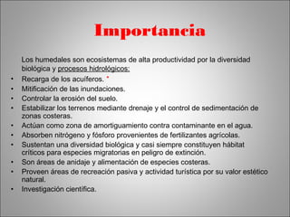 Importancia 
Los humedales son ecosistemas de alta productividad por la diversidad 
biológica y procesos hidrológicos: 
• Recarga de los acuíferos. * 
• Mitificación de las inundaciones. 
• Controlar la erosión del suelo. 
• Estabilizar los terrenos mediante drenaje y el control de sedimentación de 
zonas costeras. 
• Actúan como zona de amortiguamiento contra contaminante en el agua. 
• Absorben nitrógeno y fósforo provenientes de fertilizantes agrícolas. 
• Sustentan una diversidad biológica y casi siempre constituyen hábitat 
críticos para especies migratorias en peligro de extinción. 
• Son áreas de anidaje y alimentación de especies costeras. 
• Proveen áreas de recreación pasiva y actividad turística por su valor estético 
natural. 
• Investigación científica. 
 