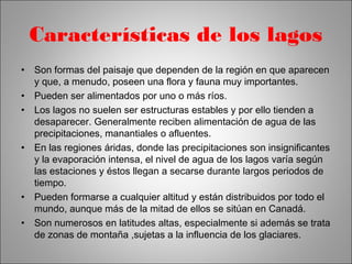 Características de los lagos 
• Son formas del paisaje que dependen de la región en que aparecen 
y que, a menudo, poseen una flora y fauna muy importantes. 
• Pueden ser alimentados por uno o más ríos. 
• Los lagos no suelen ser estructuras estables y por ello tienden a 
desaparecer. Generalmente reciben alimentación de agua de las 
precipitaciones, manantiales o afluentes. 
• En las regiones áridas, donde las precipitaciones son insignificantes 
y la evaporación intensa, el nivel de agua de los lagos varía según 
las estaciones y éstos llegan a secarse durante largos periodos de 
tiempo. 
• Pueden formarse a cualquier altitud y están distribuidos por todo el 
mundo, aunque más de la mitad de ellos se sitúan en Canadá. 
• Son numerosos en latitudes altas, especialmente si además se trata 
de zonas de montaña ,sujetas a la influencia de los glaciares. 
 