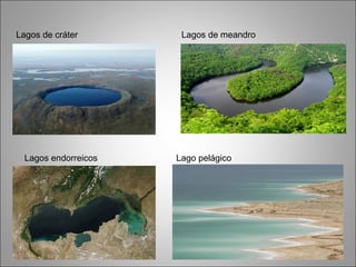 Lagos de cráter Lagos de meandro 
Lagos endorreicos Lago pelágico 
 