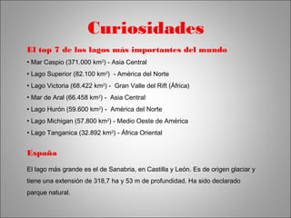 Curiosidades 
El top 7 de los lagos más importantes del mundo 
• Mar Caspio (371.000 km2) - Asia Central 
• Lago Superior (82.100 km2) - América del Norte 
• Lago Victoria (68.422 km2) - Gran Valle del Rift (África) 
• Mar de Aral (66.458 km2) - Asia Central 
• Lago Hurón (59.600 km2) - América del Norte 
• Lago Michigan (57.800 km2) - Medio Oeste de América 
• Lago Tanganica (32.892 km2) - África Oriental 
España 
El lago más grande es el de Sanabria, en Castilla y León. Es de origen glaciar y 
tiene una extensión de 318,7 ha y 53 m de profundidad. Ha sido declarado 
parque natural. 
 
