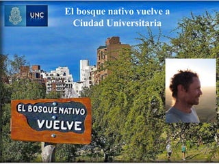 El bosque nativo vuelve a
Ciudad Universitaria
 