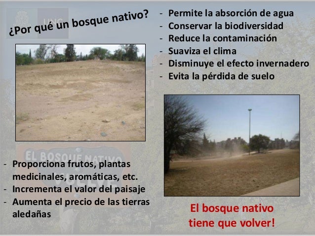 clima ciudad universitaria