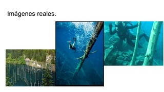 Imágenes reales.
 