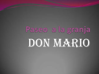 Don Mario
 