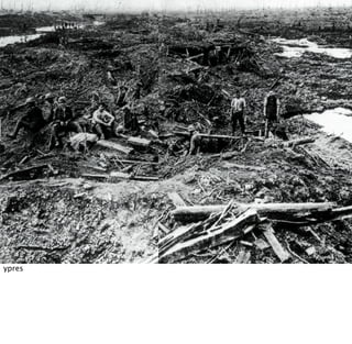 ypres
 