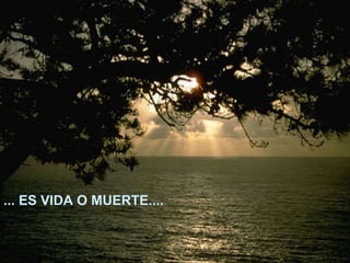 ... ES VIDA O MUERTE....