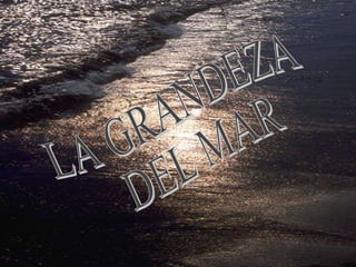 LA GRANDEZA DEL MAR