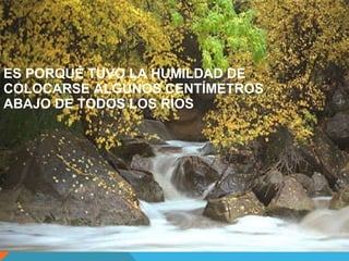 ES PORQUÉ TUVO LA HUMILDAD DE COLOCARSE ALGUNOS CENTÍMETROS ABAJO DE TODOS LOS RÍOS
