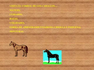 VISITA EL CORRAL DE LOS CABALLOS.... MANEJO,  CUIDADOS,  RAZAS, UTILIDADES,  FORMA DE ADIESTRAMIENTO,(DOMA CRIOLLA E INDIGENA) MONTURAS. 