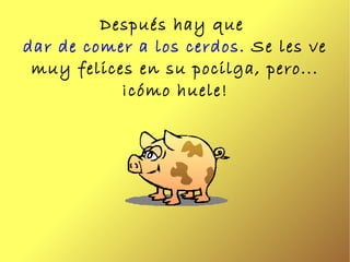 Después hay que  dar de comer a los cerdos . Se les ve muy felices en su pocilga, pero... ¡cómo huele! 