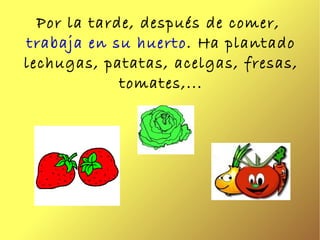 Por la tarde, después de comer,  trabaja en su huerto . Ha plantado lechugas, patatas, acelgas, fresas, tomates,... 