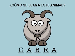 ¿CÓMO SE LLAMA ESTE ANIMAL?
C B ARA
 