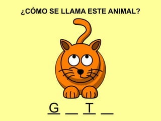 ¿CÓMO SE LLAMA ESTE ANIMAL?
TG
 