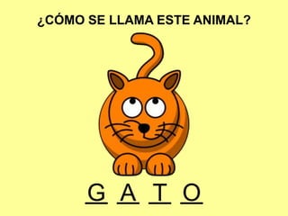 ¿CÓMO SE LLAMA ESTE ANIMAL?
A OTG
 