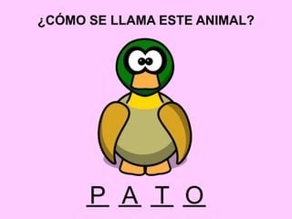 ¿CÓMO SE LLAMA ESTE ANIMAL?
A OTP
 