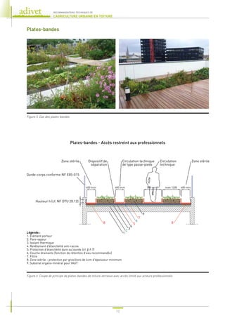 10
RECOMMANDATIONS TECHNIQUES DE
L’AGRICULTURE URBAINE EN TOITURE
Plates-bandes
Figure 5. Cas des plates-bandes
Figure 6. Coupe de principe de plates-bandes de toiture-terrasse avec accès limité aux acteurs professionnels
Plates-bandes - Accès restreint aux professionnels
Hauteur h (cf. NF DTU 20.12)
Garde-corps conforme NF E85-015
Zone stérile Zone stérile
Circulation
technique
Circulation technique
de type passe-pieds
Dispositif de
séparation
1
2
3
4
5
6
7
9
8
400 mini 400 mini 400 mini
800 mini maxi 1200
8
Légende :
1. Élément porteur
2. Pare-vapeur
3. Isolant thermique
4. Revêtement d’étanchéité anti-racine
5. Protection d’étanchéité dure ou lourde (cf. § 9.7)
6. Couche drainante (fonction de rétention d’eau recommandée)
7. Filtre
8. Zone stérile - protection par gravillons de 4cm d’épaisseur minimum
9. Substrat organo-minéral pour l’AUT
 
