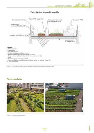 11
RECOMMANDATIONS TECHNIQUES DE
L’AGRICULTURE URBAINE EN TOITURE
Pleines surfaces
Figure 8. Cas de la pleine surface
Plates-bandes - Accessible au public
ht. max = 20cm
Circulation PMR
Circulation technique
de type passe-pieds
Dispositif de séparation
Circulation piétonne
Garde-corps
conforme NF P01-012
Hauteur h (cf. NF DTU 20.12)
800 mini 400 mini 1200 mini
7
5
6
4
3
2
1
8
10
9
50
Légende :
1. Élément porteur
2. Pare-vapeur
3. Isolant thermique
4. Revêtement d’étanchéité anti-racine
5. Protection d’étanchéité dure ou lourde (cf. § 9.7)
6. Couche drainante (fonction de rétention d’eau recommandée)
7. Filtre
8. Substrat organo-minéral pour l’AUT
9. Protection d’étanchéité sous zones circulées : dalles sur plots de classe T11
10. Solin porte-dalle
Figure 7. Coupe de principe de plates-bandes de toiture-terrasse accessible au public
 