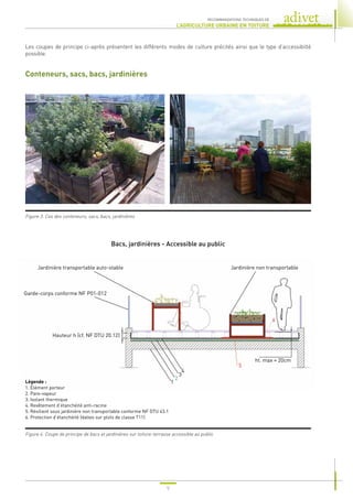 9
RECOMMANDATIONS TECHNIQUES DE
L’AGRICULTURE URBAINE EN TOITURE
Les coupes de principe ci-après présentent les différents modes de culture précités ainsi que le type d’accessibilté
possible.
Conteneurs, sacs, bacs, jardinières
Figure 3. Cas des conteneurs, sacs, bacs, jardinières
Bacs, jardinières - Accessible au public
Figure 4. Coupe de principe de bacs et jardinières sur toiture-terrasse accessible au public
Jardinière transportable auto-stable Jardinière non transportable
ht. max = 20cm
Garde-corps conforme NF P01-012
Hauteur h (cf. NF DTU 20.12)
4
3
2
5
6
1
Légende :
1. Élément porteur
2. Pare-vapeur
3. Isolant thermique
4. Revêtement d’étanchéité anti-racine
5. Résilient sous jardinière non transportable conforme NF DTU 43.1
6. Protection d’étanchéité (dalles sur plots de classe T11)
 