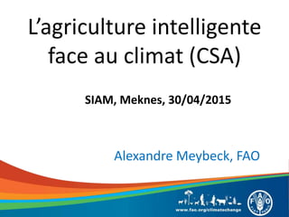 L’agriculture intelligente
face au climat (CSA)
SIAM, Meknes, 30/04/2015
Alexandre Meybeck, FAO
 