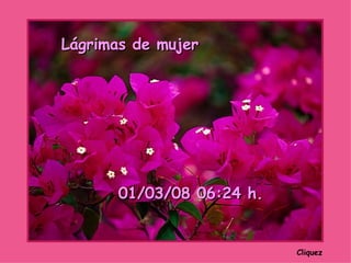Cliquez Lágrimas de mujer 02/06/09   01:04  h. 