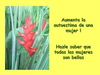 Aumenta la autoestima de una mujer ! Hazle saber que todas las mujeres son bellas 