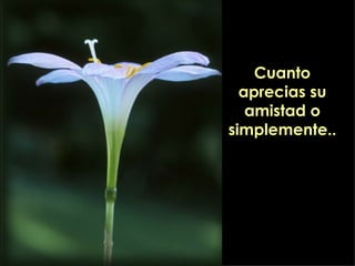 Cuanto aprecias su amistad o simplemente.. 