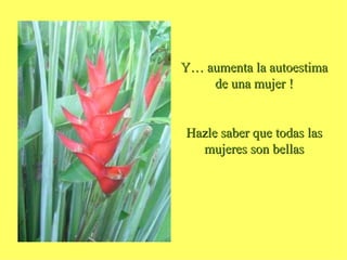 Y… aumenta la autoestima de una mujer ! Hazle saber que todas las mujeres son bellas 